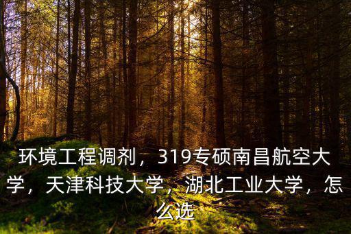 環境工程調劑，319專碩南昌航空大學，天津科技大學，湖北工業大學，怎么選