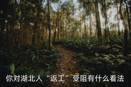 湖北怎么能返工呢,湖北人什么時(shí)候能返工