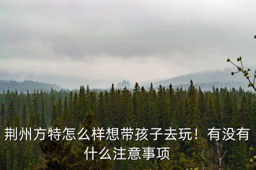 荊州方特怎么樣想帶孩子去玩！有沒有什么注意事項(xiàng)