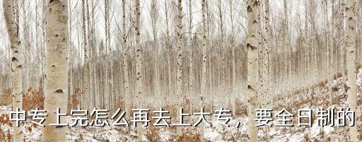 中專上完怎么再去上大專，要全日制的