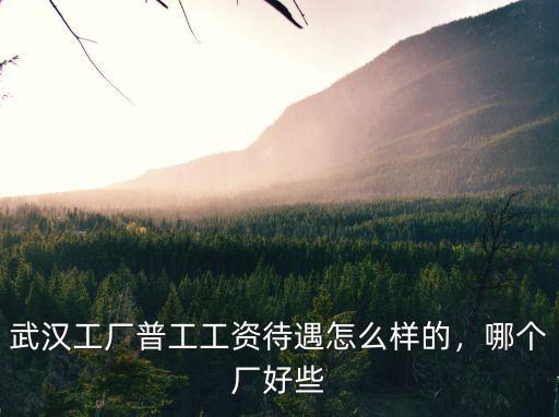 武漢工廠普工工資待遇怎么樣的，哪個廠好些