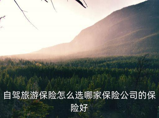自駕旅游保險怎么選哪家保險公司的保險好
