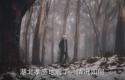 湖北孝感地震了，情況如何
