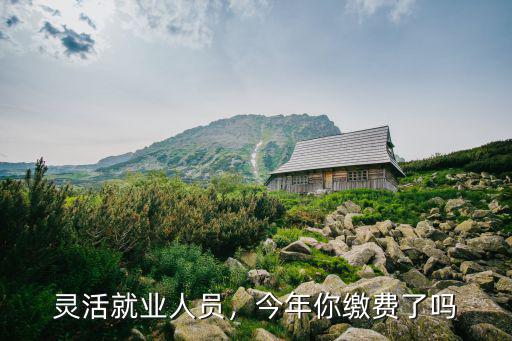 靈活就業人員，今年你繳費了嗎