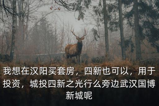 我想在漢陽(yáng)買套房，四新也可以，用于投資，城投四新之光行么旁邊武漢國(guó)博新城呢