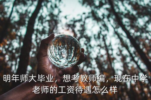 明年師大畢業，想考教師編，現在中學老師的工資待遇怎么樣