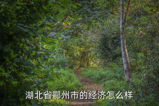 湖北省鄂州市的經濟怎么樣