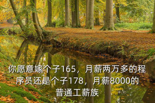 你愿意嫁個子165，月薪兩萬多的程序員還是個子178，月薪8000的普通工薪族