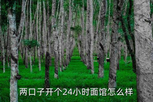 兩口子開個24小時面館怎么樣