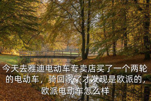 今天去雅迪電動(dòng)車專賣店買了一個(gè)兩輪的電動(dòng)車，騎回家了才發(fā)現(xiàn)是歐派的，歐派電動(dòng)車怎么樣