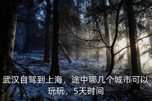 武漢自駕到上海，途中哪幾個城市可以玩玩，5天時間