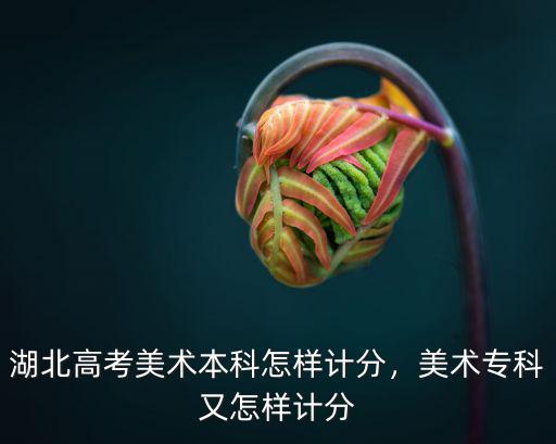 湖北美術(shù)成績怎么算分,湖北高考美術(shù)本科怎樣計(jì)分