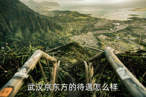 武漢京東方的待遇怎么樣