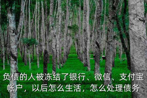 負債的人被凍結了銀行、微信、支付寶帳戶，以后怎么生活，怎么處理債務