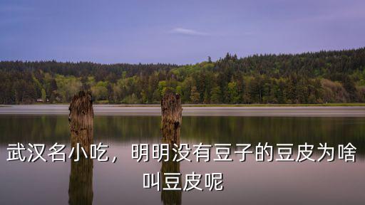 武漢名小吃，明明沒有豆子的豆皮為啥叫豆皮呢