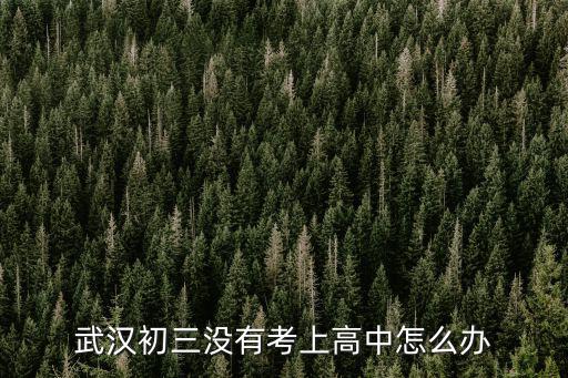 武漢初三沒有考上高中怎么辦