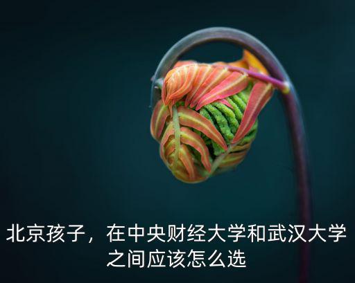 北京孩子，在中央財經大學和武漢大學之間應該怎么選