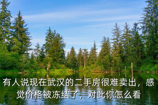 有人說現在武漢的二手房很難賣出，感覺價格被凍結了，對此你怎么看