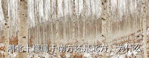 湖北十堰屬于南方還是北方，為什么