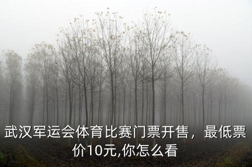 武漢軍運會體育比賽門票開售，最低票價10元,你怎么看