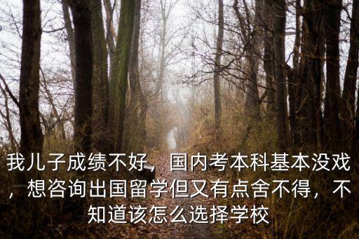 我兒子成績不好，國內(nèi)考本科基本沒戲，想咨詢出國留學(xué)但又有點(diǎn)舍不得，不知道該怎么選擇學(xué)校