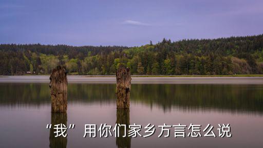 我宜昌方言怎么說,我用你們家鄉方言怎么說