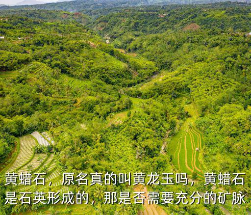 黃蠟石，原名真的叫黃龍玉嗎，黃蠟石是石英形成的，那是否需要充分的礦脈