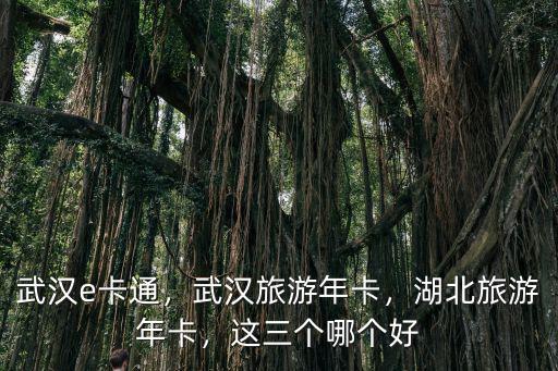 武漢旅游年票小孩怎么收費,武漢旅游年卡