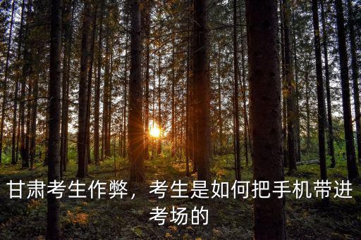 甘肅考生作弊，考生是如何把手機(jī)帶進(jìn)考場(chǎng)的