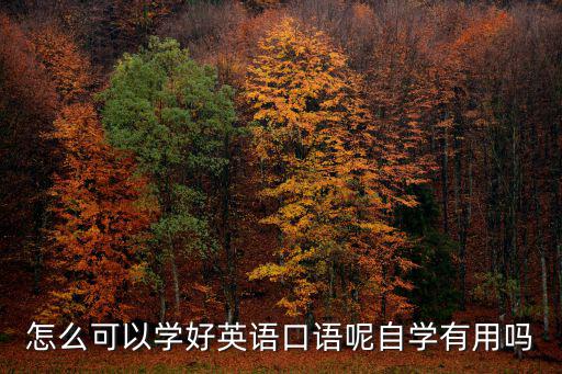怎么可以學(xué)好英語(yǔ)口語(yǔ)呢自學(xué)有用嗎