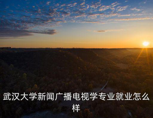 武漢大學新聞廣播電視學專業(yè)就業(yè)怎么樣