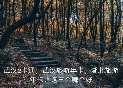 湖北電子旅游年卡怎么用,湖北旅游年卡