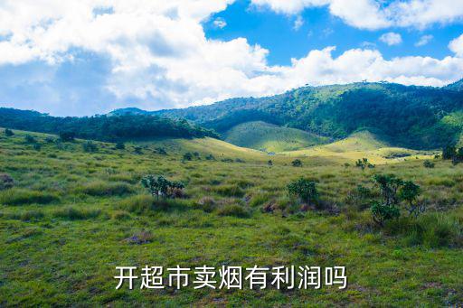 開超市賣煙有利潤嗎