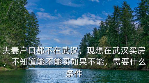 夫妻戶口都不在武漢，現想在武漢買房，不知道能不能買如果不能，需要什么條件