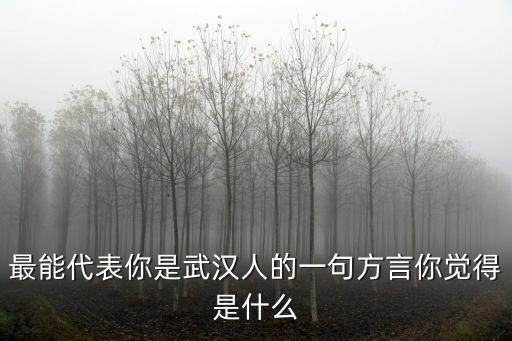 最能代表你是武漢人的一句方言你覺得是什么