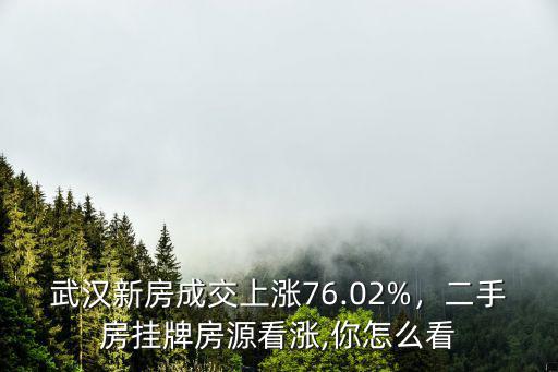 武漢二手房掛牌價(jià)怎么樣,武漢二手房掛牌量暴增