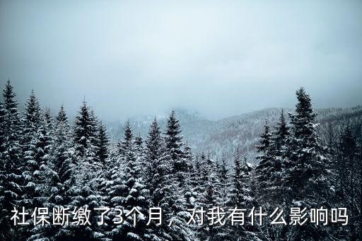 武漢社保停繳三個月怎么辦,社保斷繳了3個月