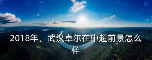 2018年，武漢卓爾在中超前景怎么樣