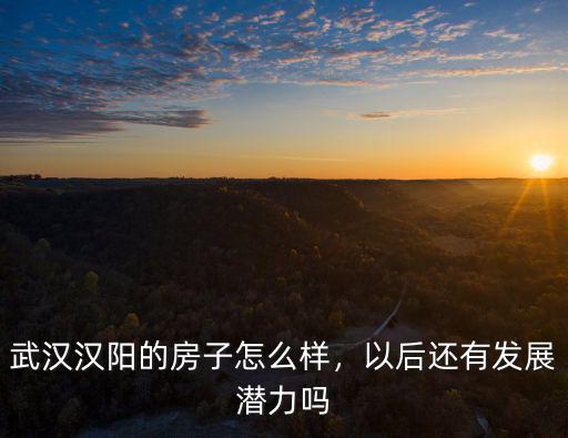 武漢漢陽的房子怎么樣，以后還有發展潛力嗎
