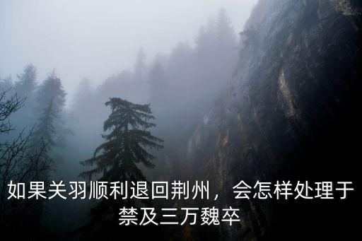 如果關羽順利退回荊州，會怎樣處理于禁及三萬魏卒