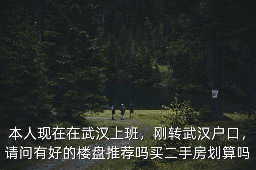 本人現在在武漢上班，剛轉武漢戶口，請問有好的樓盤推薦嗎買二手房劃算嗎