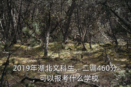 2019年湖北文科生，二調(diào)460分，可以報(bào)考什么學(xué)校