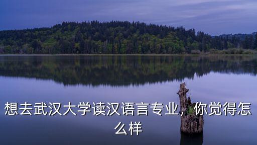 想去武漢大學讀漢語言專業，你覺得怎么樣