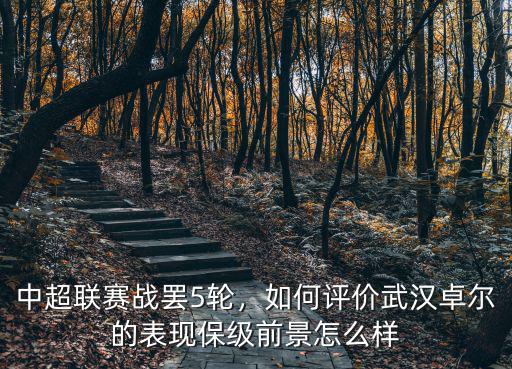 武漢卓爾口碑怎么樣,武漢卓爾在中超前景怎么樣
