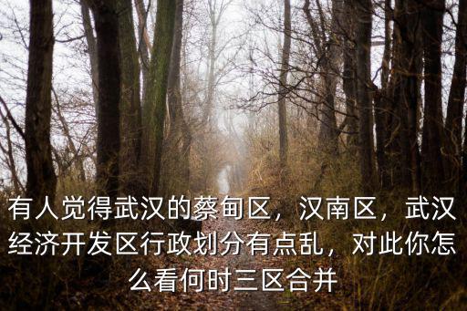 有人覺得武漢的蔡甸區，漢南區，武漢經濟開發區行政劃分有點亂，對此你怎么看何時三區合并