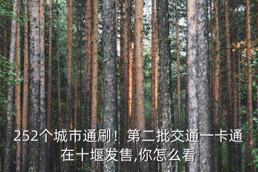 252個城市通刷！第二批交通一卡通在十堰發售,你怎么看