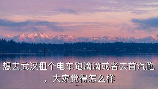 想去武漢租個電車跑滴滴或者去首汽跑，大家覺得怎么樣