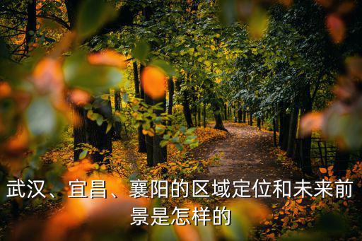 武漢、宜昌、襄陽的區(qū)域定位和未來前景是怎樣的