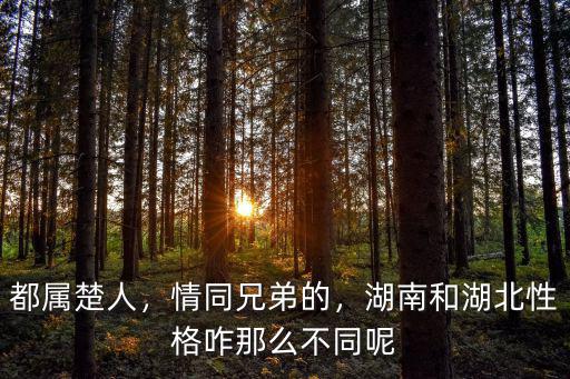 都屬楚人，情同兄弟的，湖南和湖北性格咋那么不同呢