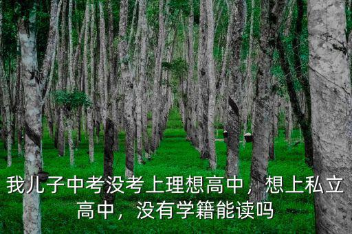 我兒子中考沒(méi)考上理想高中，想上私立高中，沒(méi)有學(xué)籍能讀嗎